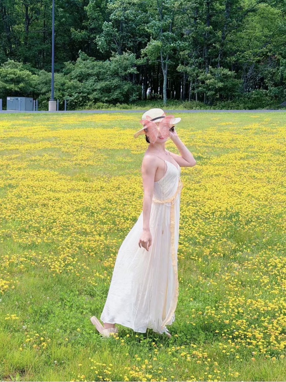ZARA Cream & Champagne Ruffle Maxi Dress – Size S
